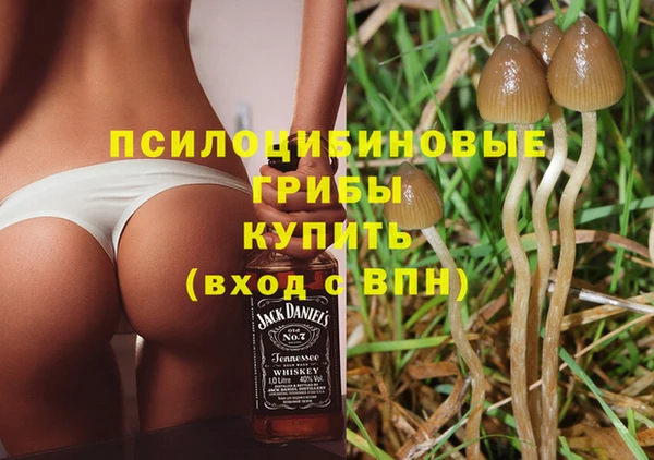 твердый Армянск