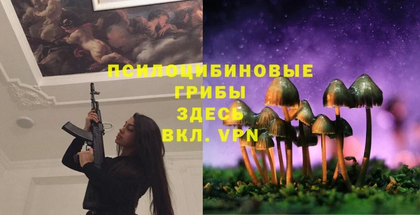 МДПВ Аркадак