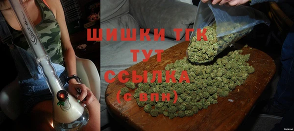 прущая мука Арсеньев