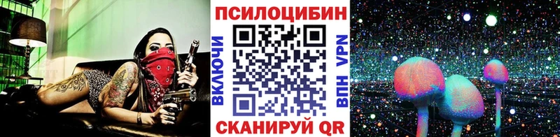 Псилоцибиновые грибы мицелий  что такое наркотик  Казань 