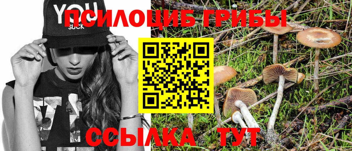 Псилоцибиновые грибы MAGIC MUSHROOMS Казань