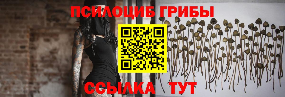 Казань  Галлюциногенные грибы Magic Shrooms  Вход с VPN 